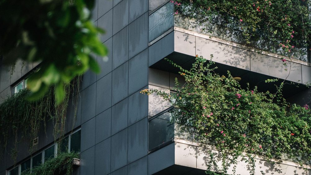 建筑阳台绿植